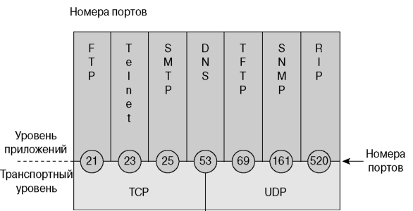 Порты UDP и TCP