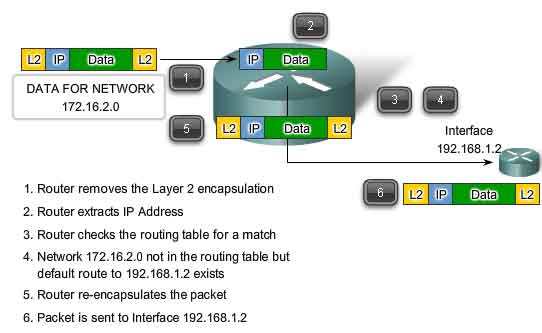 Процесс доставки IP пакета и маршрутизаторы. Определение пути.