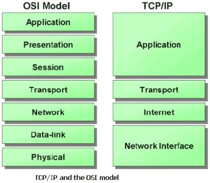 Популярность протокола TCP/IP. Стек протоколов TCP/IP.